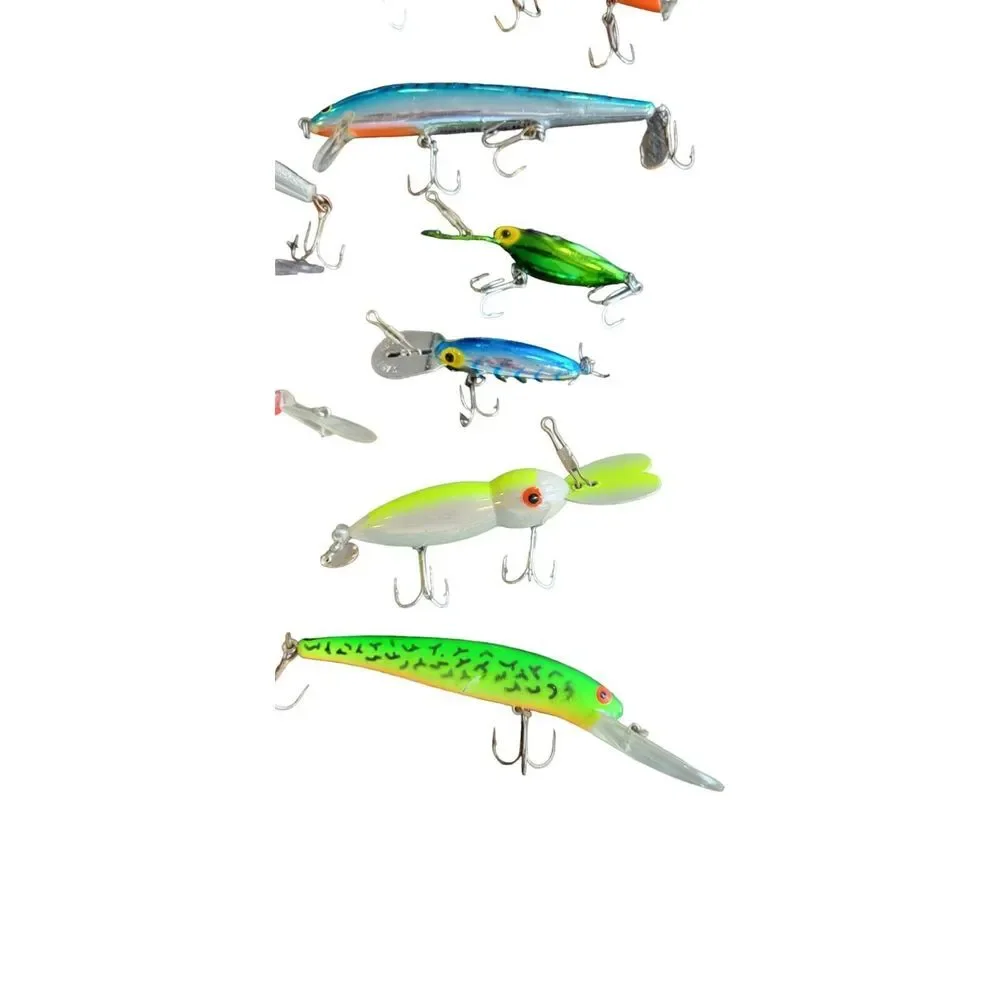 Fishing Lures Lot - Bagley's /‎ Rapala